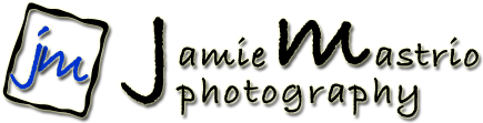 Jamie Mastrio Photography - Serving Wilbraham, Springfield, East Longmeadow, Longmeadow, Hampden, Palmer, MA, CT and beyond!